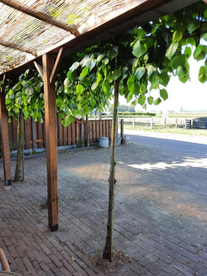 Ferienwohnung Anneke'S Bed En Botterhammeke Woensdrecht Exterior foto